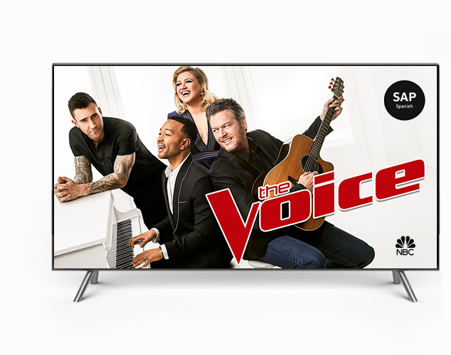 The Voice on TV screen